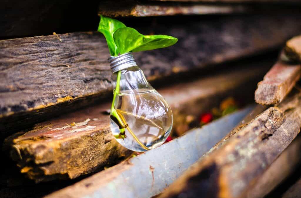 How do we innovate in a crisis?