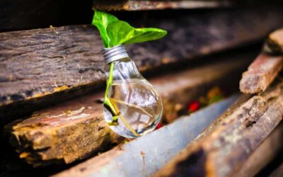 How do we innovate in a crisis?