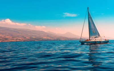 Six stages in Life and Business: Sailing or Sinking?